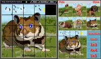 Magic Slide Puzzle Pets Screen Shot 6