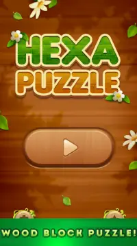 Hexa Puzzle: Wood Block Puzzle Game Screen Shot 0