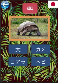 動物の名前を学ぶ Screen Shot 3