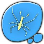 Pond Skater
