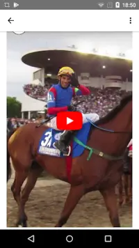 Horse Racing Latest News Screen Shot 8