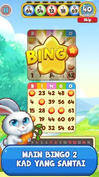 Bingo: Free the Pets Screen Shot 1
