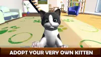 Daily Kitten : gato virtual Screen Shot 1
