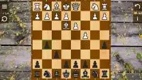 Chess Echecs 3D Free Screen Shot 1
