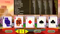 Jackpot Video Poker Vegas Screen Shot 22