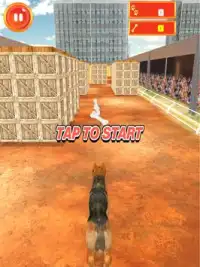 クレイジー犬サーファー - エンドレスラン Screen Shot 7
