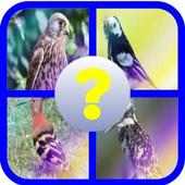 Guess the birds image : Quiz