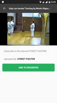 Karate Videos Screen Shot 4
