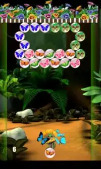 bubble butterfly shooter Screen Shot 1