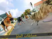 🐾 لعبة القط سباق للأطفال 🐾 Screen Shot 5