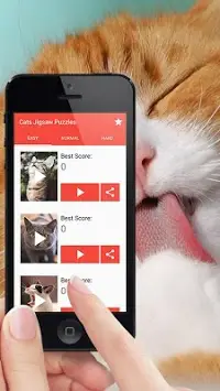 Quebra-cabeça jogo de gatos Screen Shot 1
