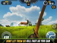 Archery: Animals Hunter Screen Shot 5