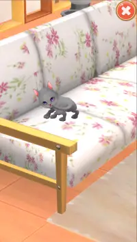 甜蜜猫舍（Sweet Cattery） Screen Shot 5