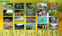 Puzzles for adults the nature Screen Shot 1