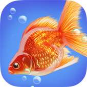 Goldfish Fun 3D