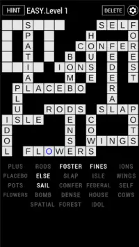 Crossword Checker Screen Shot 2