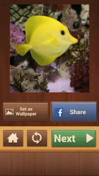 Fisch Puzzle Spiele Screen Shot 6