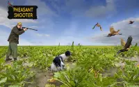 फिजेंट शूटर: क्रॉसबो पक्षी शिकार एफपीएस गेम्स Screen Shot 0