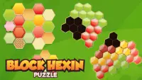 Block HexIn - Hexa Blocks Screen Shot 0