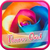 Sweet Flower Onet