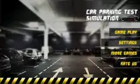 Car Parking Test Simulation 3D Screen Shot 0