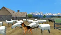 Shepherd Dog Simulator 3D-Offline Wild Animal Game Screen Shot 0