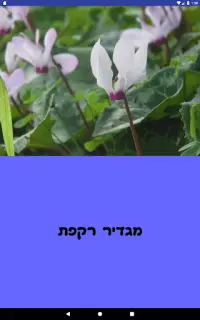 מגדיר רקפת Screen Shot 6