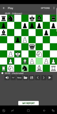 Chess Analysis Screen Shot 1