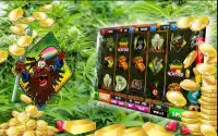 Pot Head Slots™ Screen Shot 5