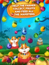 Fruit Hamsters–Farm of Hamsters: Match 3 game Free Screen Shot 14