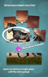 Cavalos Quebra Cabeça Screen Shot 4