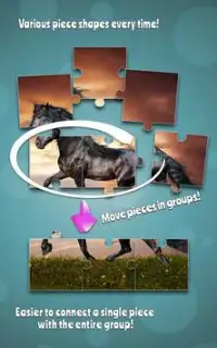 Horses Jigsaw Puzzle Game Screen Shot 4