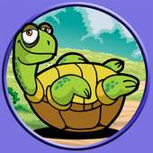 schöne Schildkröten für Kinder