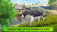 Donkey Simulator - Little Horse Wildlife Simulator Screen Shot 0