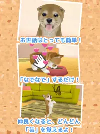 子犬のかわいい育成ゲーム - 完全無料の可愛い犬育成アプリ Screen Shot 3
