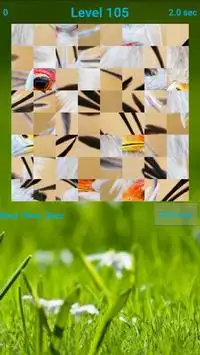 Birds Puzzle Screen Shot 4