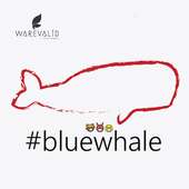 #bluewhale