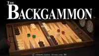 The Backgammon Screen Shot 8