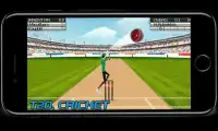 Cricket Game 2017 England Free Screen Shot 4