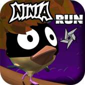 Ninja Bird Run