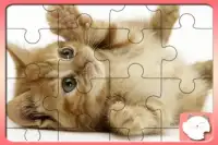 Little Cats Jigsaw Puzzles Screen Shot 1