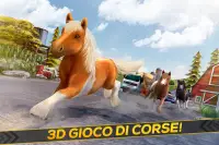 Il Mio Bel Pony: Corsa & Corri Screen Shot 0