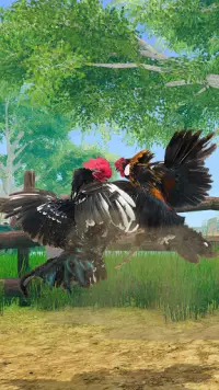Wild Rooster Animal Run Race- Chicken Farm Racing Screen Shot 3