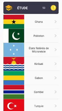 Flag Quiz des capitales du monde Screen Shot 4