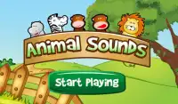 Free Animal Sounds for Kids Screen Shot 11