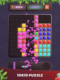 Put Blocks Classic Screen Shot 6