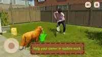 Family Pet Life: Dog Simulator Game Screen Shot 0