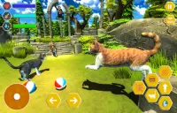 Stray Cat Life: Cat Simulator Screen Shot 0