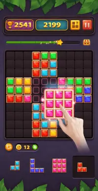 Block Puzzle Game Screen Shot 0