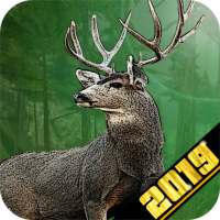 American Animal Hunter: Big Buck 3D Hunting Games